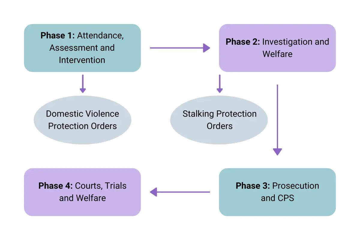 Criminal Justice Pathway in 4 phases Criminal Justice Pathway in 4 phases